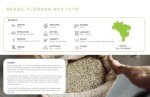 Brazilian Organic Medium Roast Whole Bean Coffee 12oz