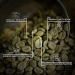 Unleashed Brazilian Unroasted Coffee Beans - 2 LB