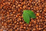 Brazilian Organic Medium Roast Whole Bean Coffee 12oz