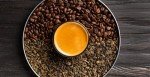 Brazilian Organic Medium Roast Whole Bean Coffee 12oz