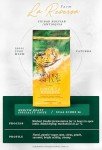 Colombian Caturra Whole Bean Medium Roast Coffee