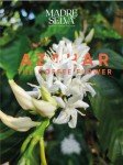 Colombian Specialty Geisha Coffee Beans - Medium Roast