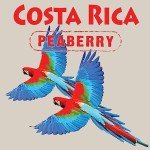 Costa Rica Peaberry Whole Bean Coffee – 16oz