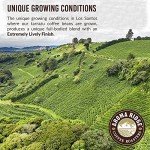 Tarrazu Costa Rica La Minita Whole Bean Coffee