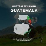 Guatemala Whole Bean Medium Roast Coffee 12oz