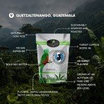 Guatemala Whole Bean Medium Roast Coffee 12oz