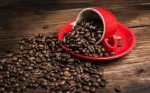 Death By Chocolate Arabica Gourmet Coffee Beans 1 lb