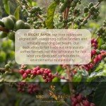 Bright Raven Colombia Medium Roast Ground Coffee 12 Oz