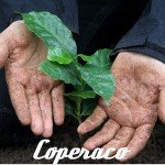 Coperaco Guatemala Whole Bean Light Roast Coffee
