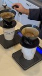 Boarding Pass Brazilian Specialty Medium-Dark Roast Coffee