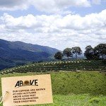 Above Coffee 100% Arabica Whole Bean Dark Roast