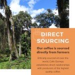 Guatemala Medium Roast Arabica Coffee - 12oz Bag