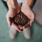 Crème Brûlée Whole Bean Coffee - 5 Pound Bag