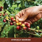 Coconut Hazelnut Organic Medium Dark Roast Coffee