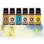 Tropical Coffee Scents Set - 6 Premium Oils