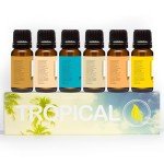 Tropical Coffee Scents Set - 6 Premium Oils