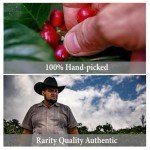 Volcanoking 100% Kona Dark Roast Coffee Beans
