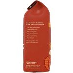 Starbucks Pumpkin Spice Ground Coffee - 11 Ounce