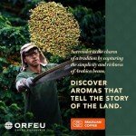 ORFEU 100% Arabica Medium Roast Coffee Beans 36 oz