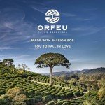 ORFEU 100% Arabica Medium Roast Coffee Beans 36 oz