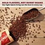 Lola Savannah Pecan Maple Whole Bean Coffee 2lb