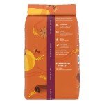 Starbucks 11 oz Pumpkin Spice Ground Coffee