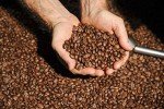 Peru 100% Arabica Medium Roast Whole Beans