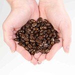 Stone Street Dark Roast Sumatra Coffee Beans 1 LB