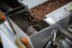 Independence Coffee Crème Brule Light Roast Beans