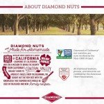 Salted Dark Chocolate Walnuts by Diamond, 4 oz