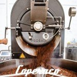 Sumatra Gayo Dark Roast Whole Bean Coffee