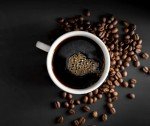 Moose Munch Pumpkin Spice White Chocolate Coffee