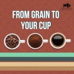 Coffee Cup Bundle with Whole Bean Medium Roast