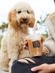 Koffee Kult Dark Roast Whole Bean Coffee 80oz