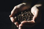 100% Fresh Jamaican Blue Mountain Dark Roast Coffee