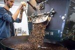 100% Fresh Jamaican Blue Mountain Dark Roast Coffee