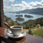 Pumpkin Spice Whole Bean Coffee by FNG