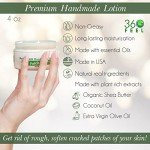 Bay Rum Body Lotion with Coconut & Olive Oil