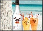 Malibu Bar Metal Art Tin Sign - Vintage Decor