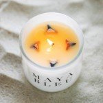 Maya Bleu Shark Tooth Soy Candle - Rum Coconut Scent