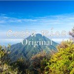 Costa Rica Tarrazu Whole Bean Medium Roast Coffee
