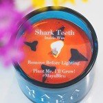 Maya Bleu Shark Tooth Soy Candle - Vanilla Rum Delight