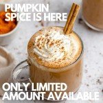 Pumpkin Spice Medium Roast Coffee Packets - 36 Pack