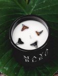Maya Bleu Shark Tooth Candle with Vanilla Coconut Scent