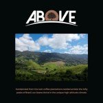 Above Coffee 100% Arabica Whole Bean Espresso Beans