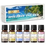 EUQEE Summer Fragrance Oil Gift Set - 6 Pack