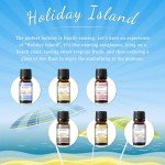 EUQEE Summer Fragrance Oil Gift Set - 6 Pack