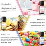 EUQEE Summer Fragrance Oil Gift Set - 6 Pack