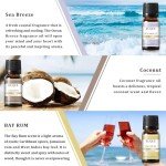 EUQEE Summer Fragrance Oil Gift Set - 6 Pack