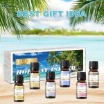 EUQEE Summer Fragrance Oil Gift Set - 6 Pack